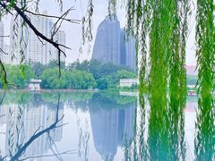 -朝阳公园
