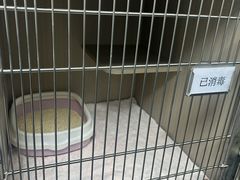 -宠物星动物医院·眼科·异宠·猫科(江南大道总院)