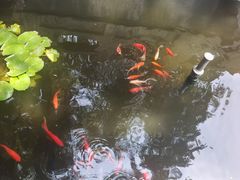 -万寿八仙宫