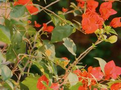 -狼山风景名胜区