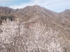 -龙泉峪长城