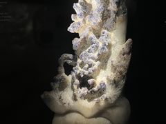 -深圳珠宝博物馆