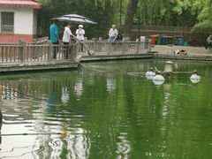 -丰台花园