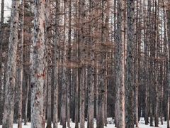 -长春净月潭风景名胜区