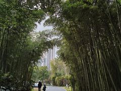 -苏州河梦清园环保主题公园