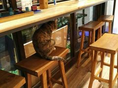 -猫的天空之城概念书店(杭州南宋御街店)