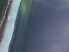 -龙湾潭国家森林公园