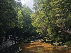 -茅兰沟国家森林公园