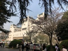 -武汉大学-樱园