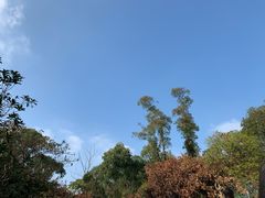 -火炉山森林公园