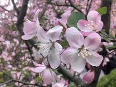 -同济大学-北苑食堂