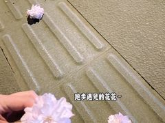 -宜家家居(高新商场店)
