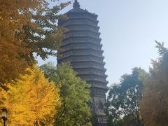 -玲珑塔公园
