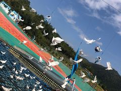 -瓷天下海丝谷