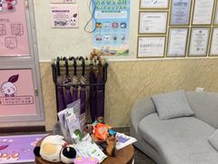 -宠爱国际动物医院·消化内科·心肾内科·ISFM猫友好(望京店)