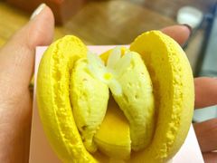 -好利来(高新枫叶广场店)