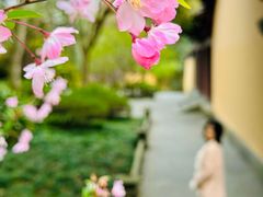-慧因高丽寺