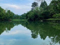 -西溪国家湿地公园