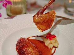 -蝶舍·MAISON PAPILLON