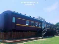 -西京湾花海