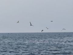 -大连金石滩滨海国家地质公园