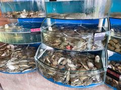 水产区-蓝珊甄选海鲜自助·火锅大排档(近阿那亚店)