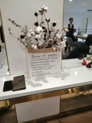 -YESIDO椰岛造型