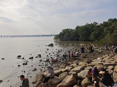 -宝安西湾红树林湿地公园