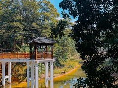 -火炉山森林公园