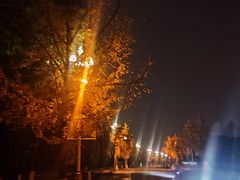 -国际非物质文化遗产博览园