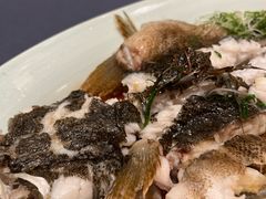 -顺峰(农展馆店)