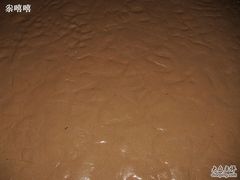 -日照海滨国家森林公园