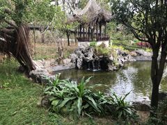 -九龙寨城公园