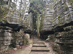 -梭布垭石林景区