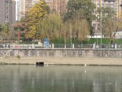 -成都市活水公园