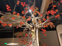 -佬肥猫(国华广场店)