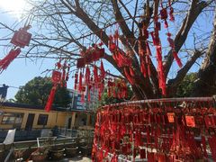 -会龙寺