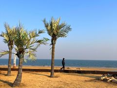 -巧克力渔家.小船海鲜家常菜(万平口店)