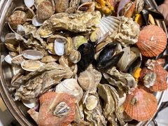 -印象高密·凤都国际大酒店