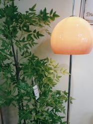 -变美丽半永久纹眉连锁·机器野生眉•洗眉