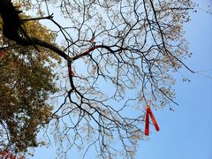 -云龙山