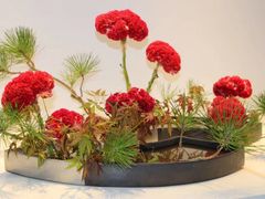 -广州市第二少年宫