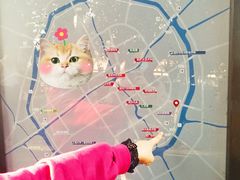 -嘉定紫藤园