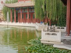 -石家庄市植物园