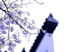-堤角公园