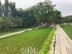 -北坞公园
