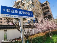 -上海浦东新区民办小白鸽幼儿园