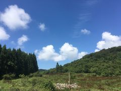 -武陵山森林公园