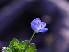 -尚贤河湿地