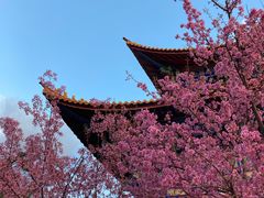 -崇圣寺三塔文化旅游区